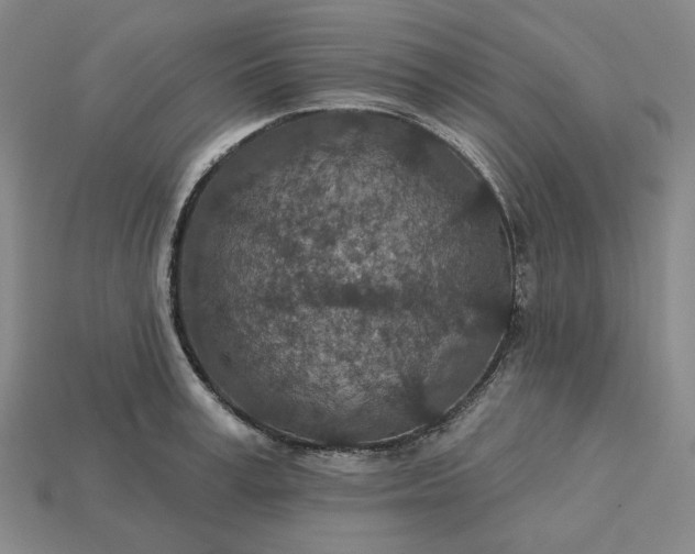 X0000115250995200911131721