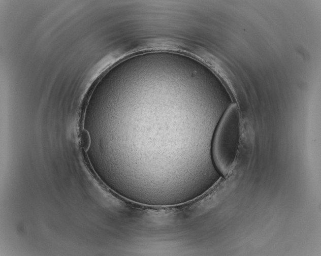 X0000115250997200911131720