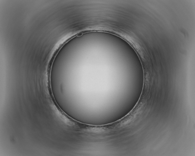 X0000115250998200911131720