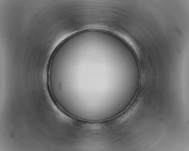 X0000115250999200911131720