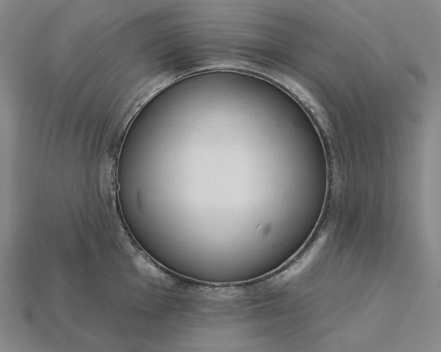 X0000115251001200911131720