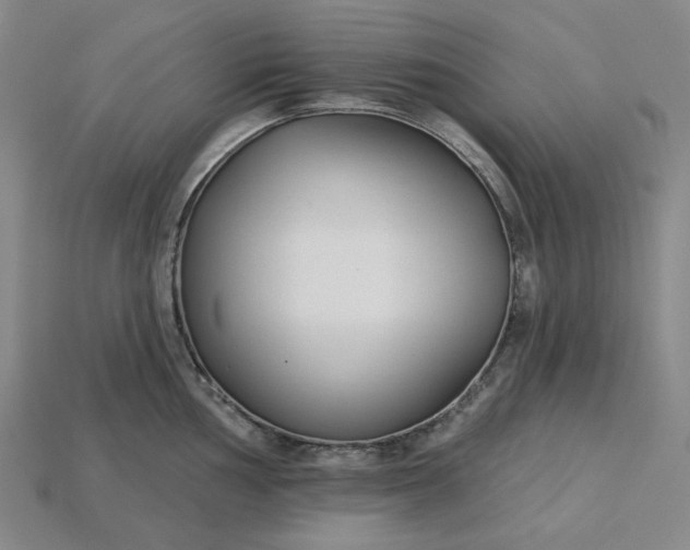 X0000115251002200911131720