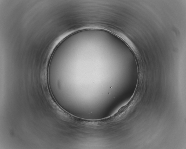 X0000115251004200911131720