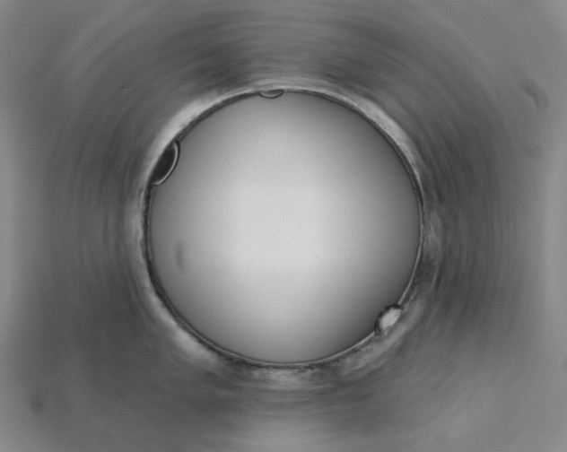 X0000115251005200911131720