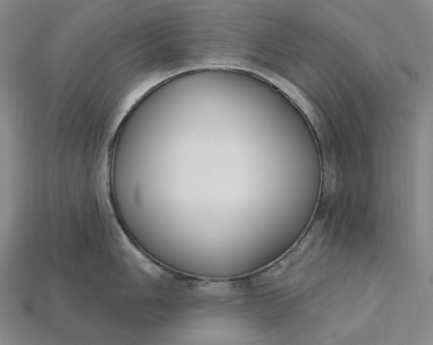 X0000115251006200911131720