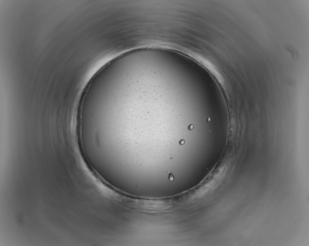 X0000115251007200911131720