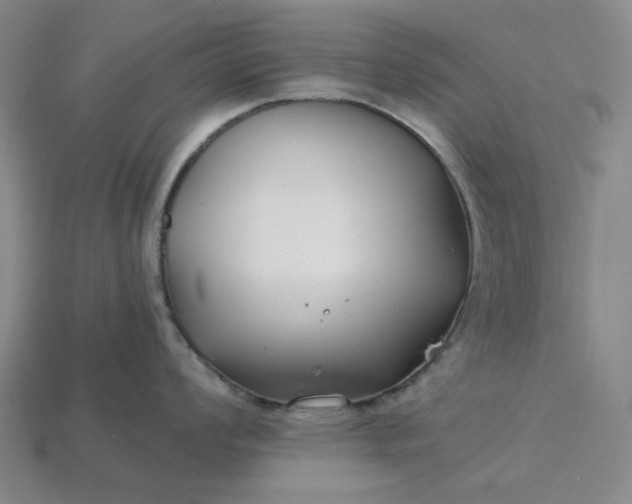 X0000115251008200911131720