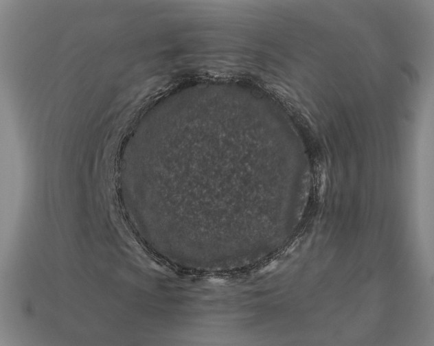 X0000115251009200911131720