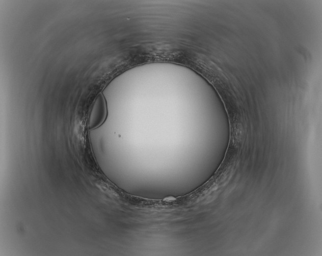 X0000115251010200911131720