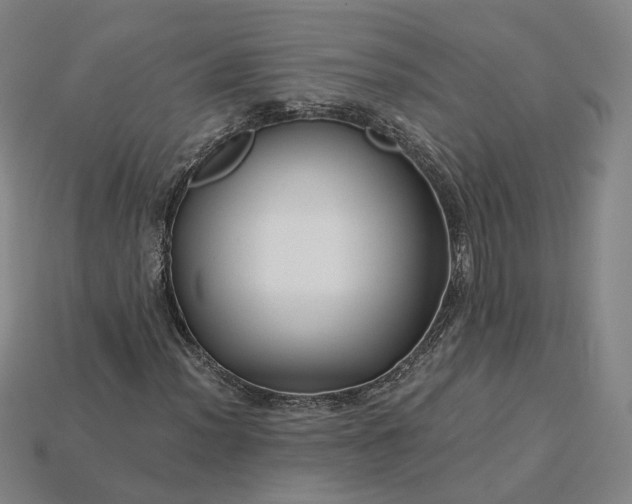 X0000115251012200911131720