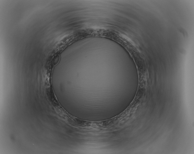 X0000115251013200911131720