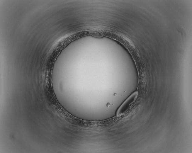 X0000115251016200911131720