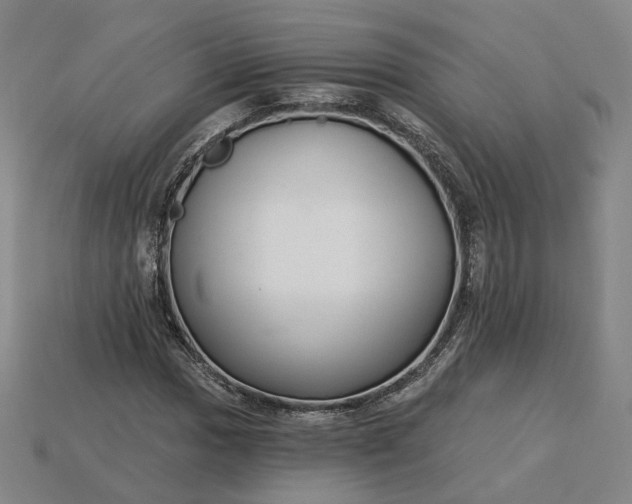 X0000115251017200911131720