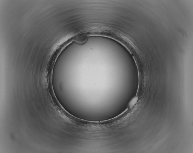 X0000115251018200911131720