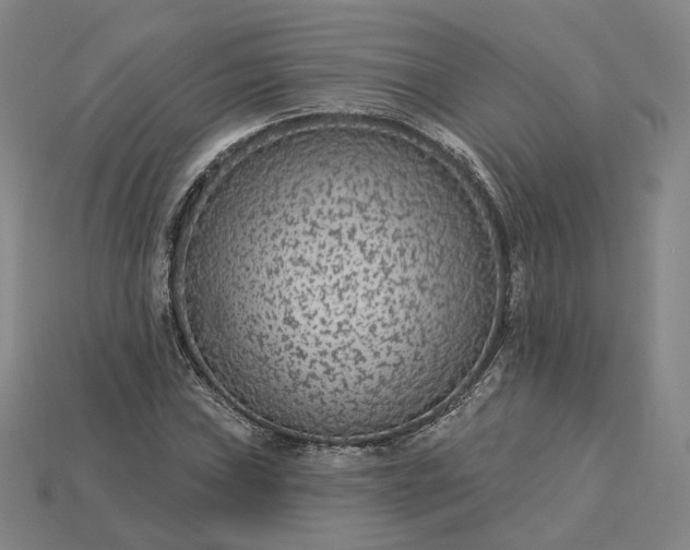 X0000115251019200911131720