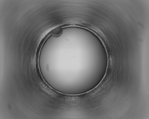 X0000115251020200911131720