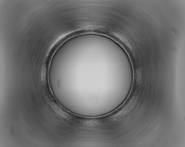 X0000115251021200911131720