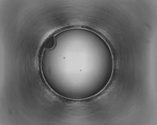 X0000115251022200911131720