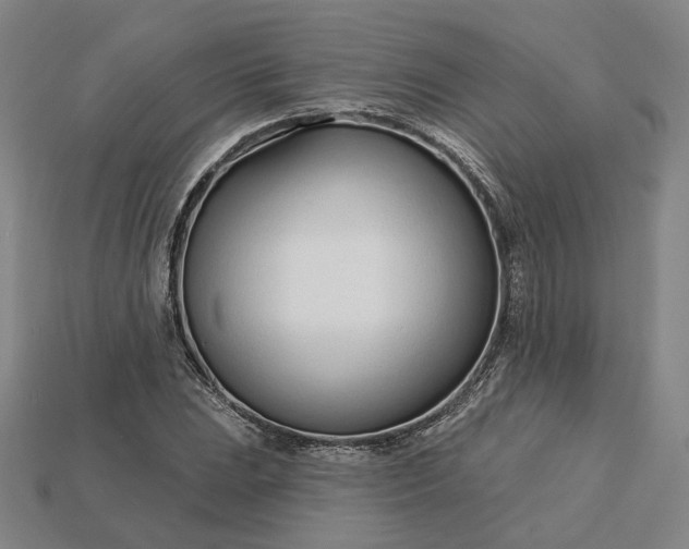 X0000115251023200911131720