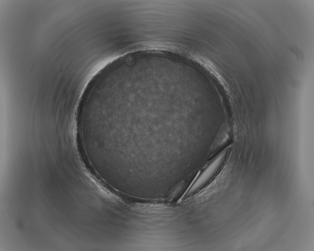 X0000115251024200911131720