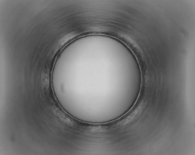 X0000115251025200911131720