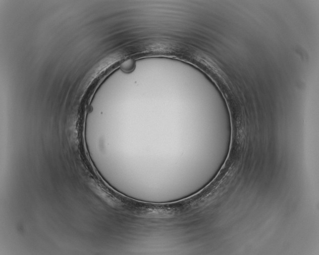 X0000115251026200911131720