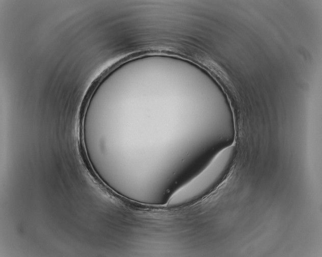 X0000115251028200911131720