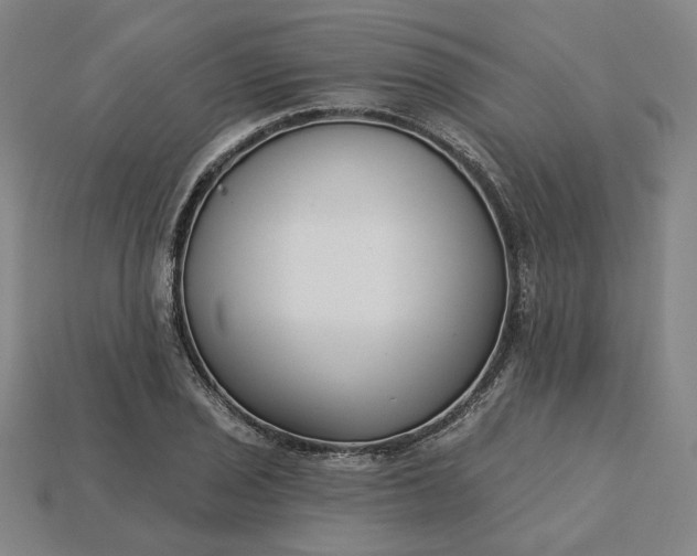 X0000115251029200911131720