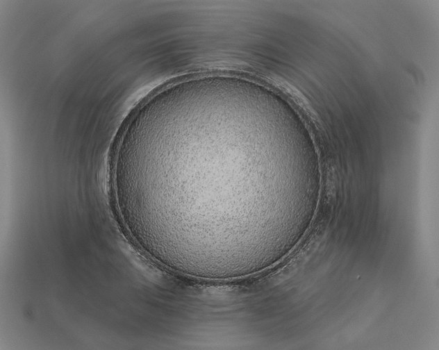 X0000115251031200911131720