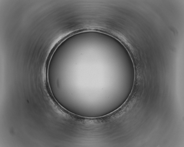 X0000115251032200911131720