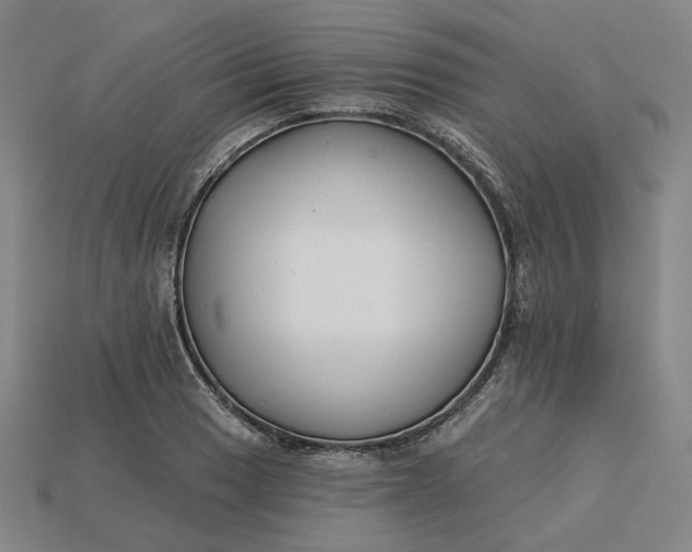 X0000115251033200911131720