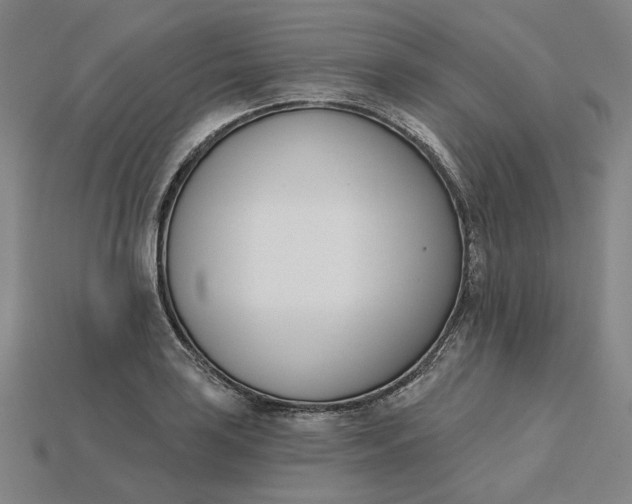 X0000115251035200911131720