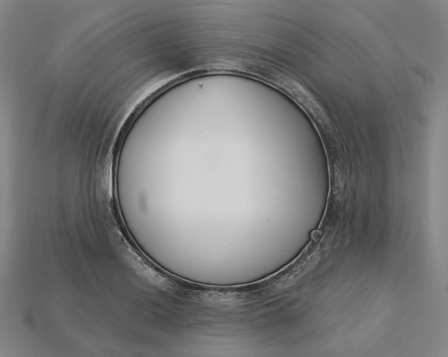 X0000115251036200911131720