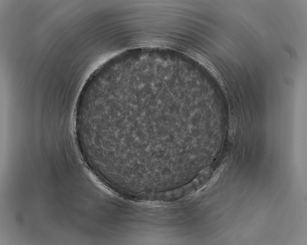 X0000115251037200911131720