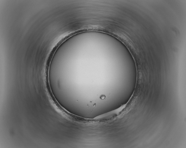 X0000115251038200911131720