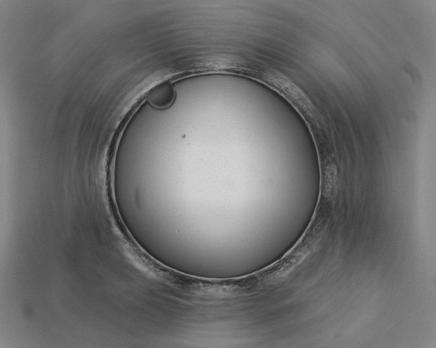 X0000115251039200911131720