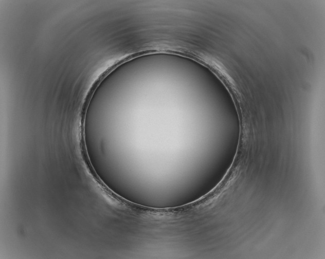 X0000115251040200911131720