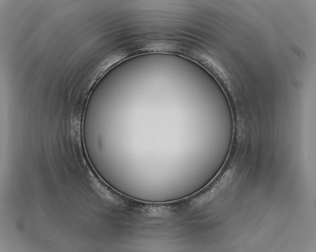 X0000115251041200911131720