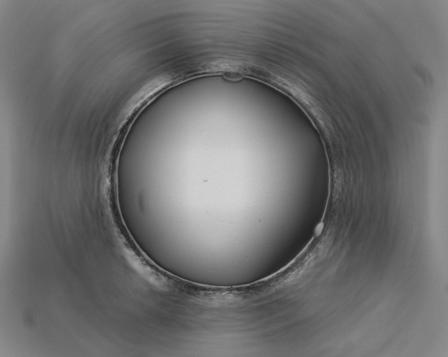 X0000115251042200911131720