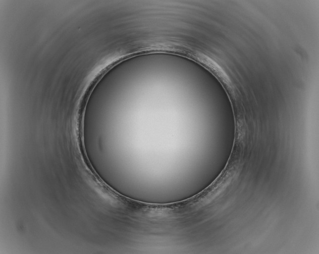 X0000115251043200911131720