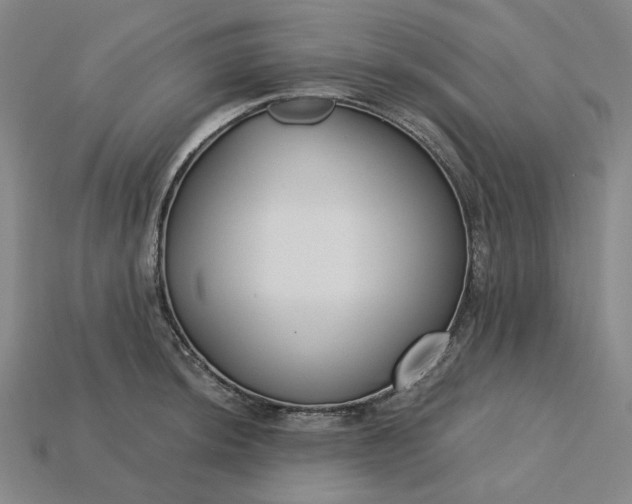 X0000115251044200911131720