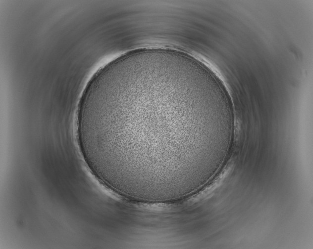 X0000115251045200911131720