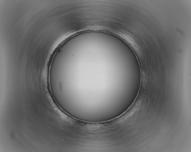 X0000115251046200911131720