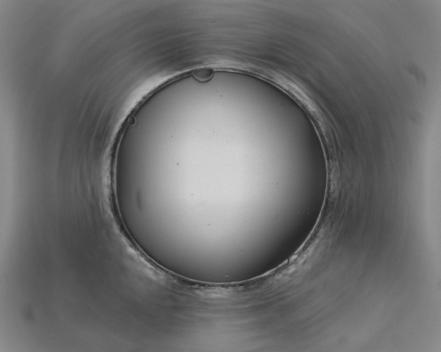 X0000115251048200911131720