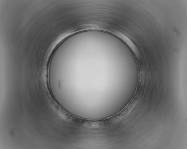 X0000115251051200911131720