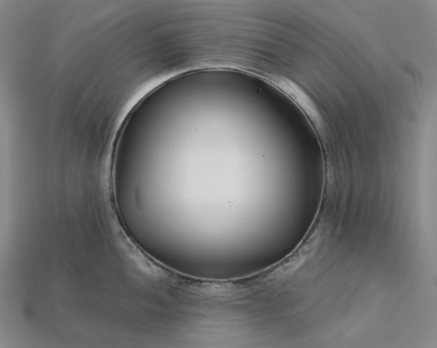 X0000115251052200911131720