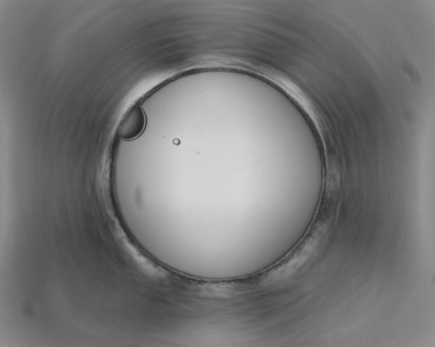 X0000115251053200911131720