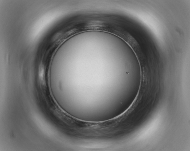 X0000115251054200911131720