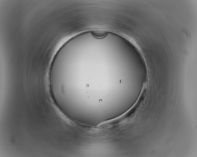 X0000115251056200911131720