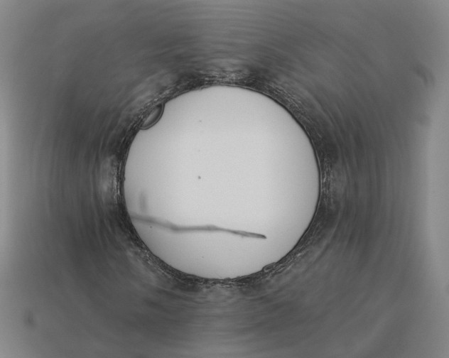 X0000115251058200911131720